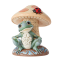 Frog Leaning on Mushroom