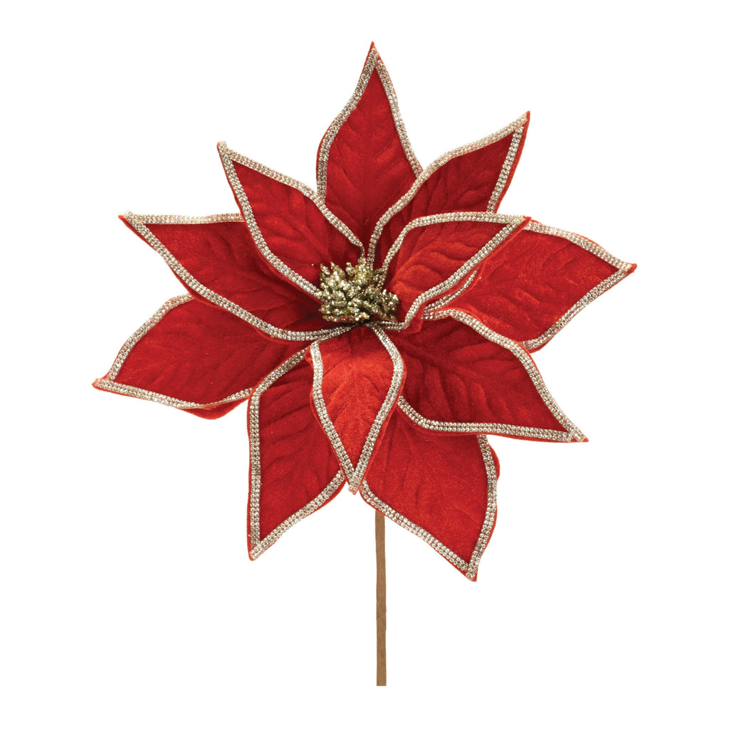 Poinsettia Stem