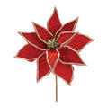 Poinsettia Stem