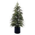 3' Green Norfolk Pine Potted Tree