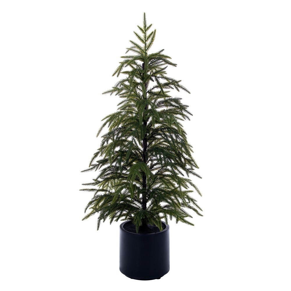 3' Green Norfolk Pine Potted Tree