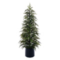 4' Green Norfolk Pine Potted Tree K/D