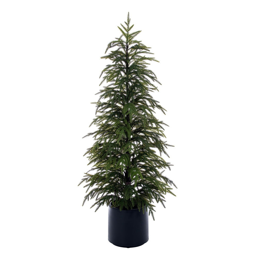 4' Green Norfolk Pine Potted Tree K/D