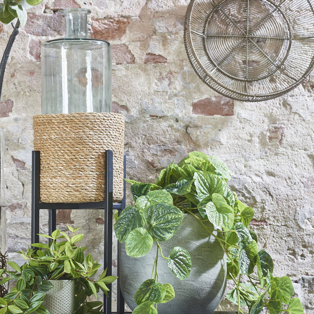 Ascot Plant Stand Black 8"Dia