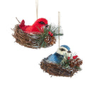 Cardinal and Blue Jay Nest Ornaments, 2 Assorted