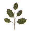 Green Holly Pick