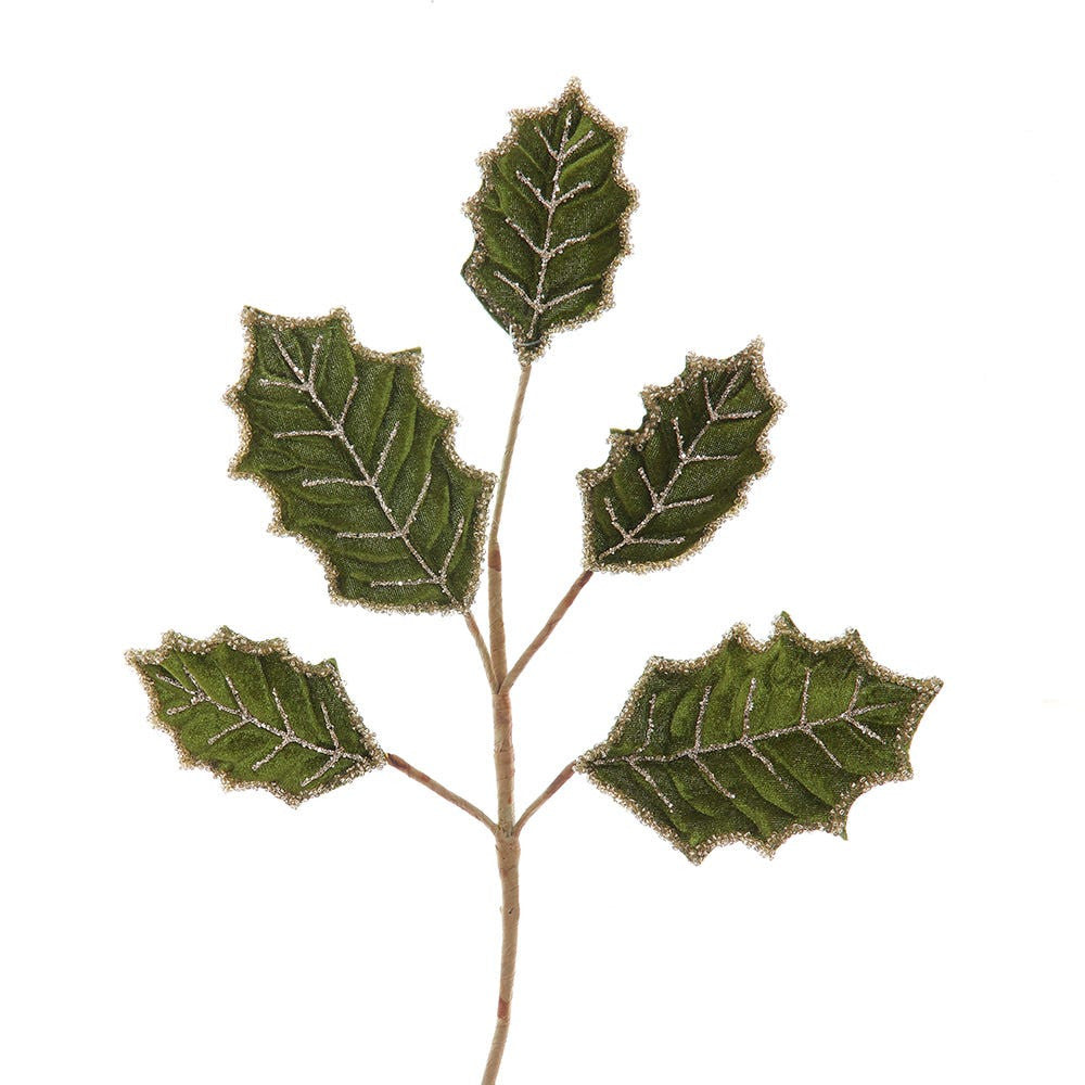 Green Holly Pick