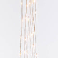 6-Foot Long Electric Warm White LED Light String Spray on Silver Wire with 8-Function Controller