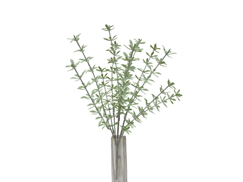 18IN PLASTIC THYMES BUSH