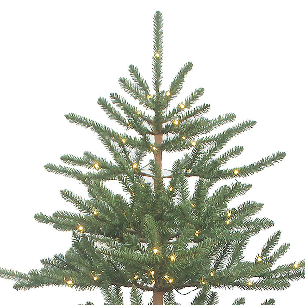 7' Pre-Lit Warm White LED Mountain Pine Tree