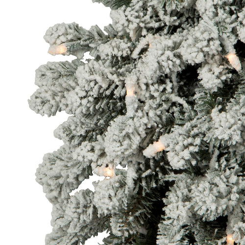 24" Pre-Lit Clear Incandescent Vail Pine Wreath